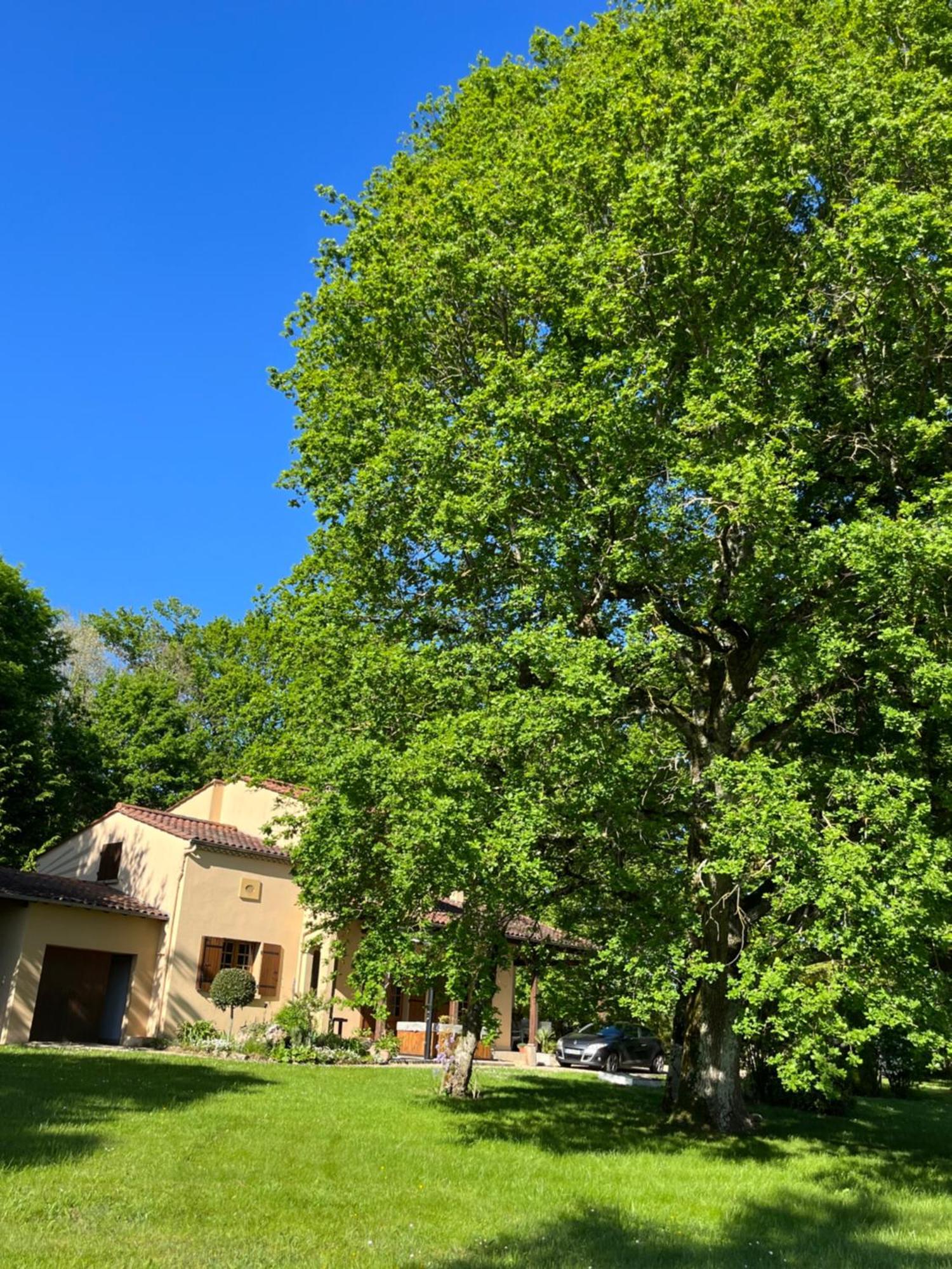 Maison De Vacances Macou 2 Capdrot Екстер'єр фото