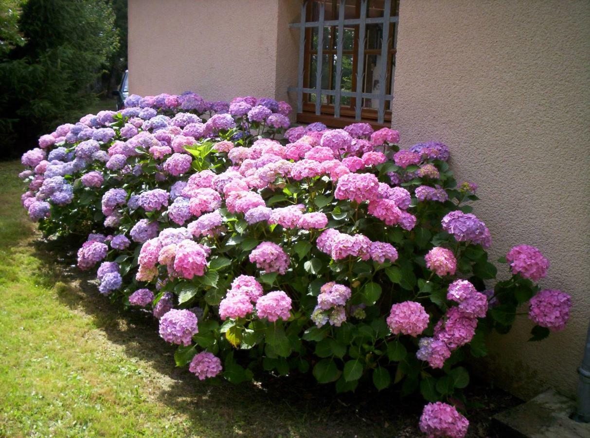Maison De Vacances Macou 2 Capdrot Екстер'єр фото